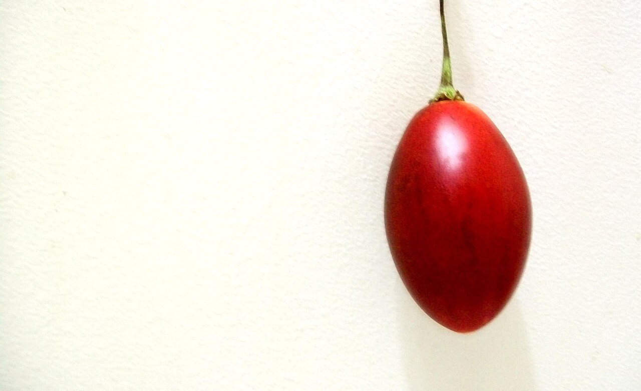 Tamarillo (Ağaç Domatesi)