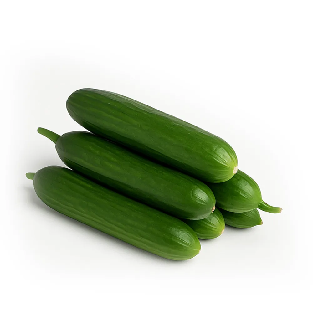 Salatalık