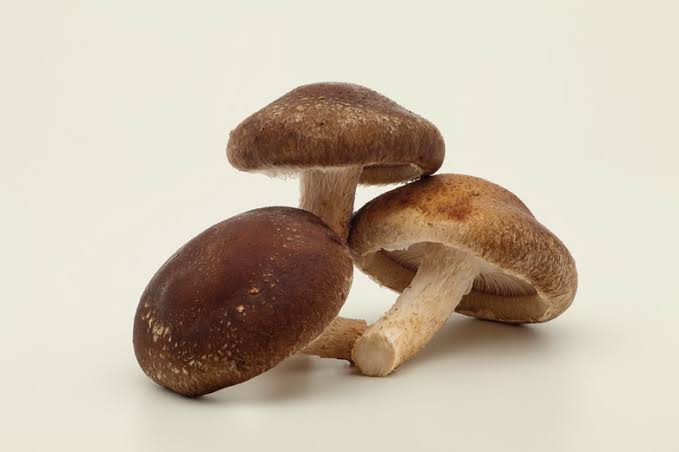 Shiitake