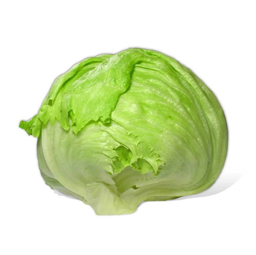 Iceberg Marul