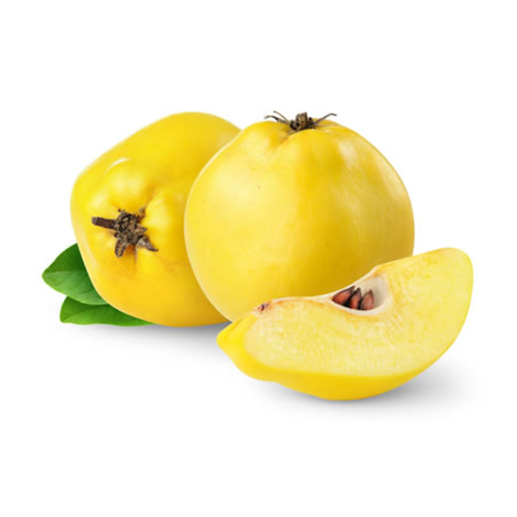 Ayva