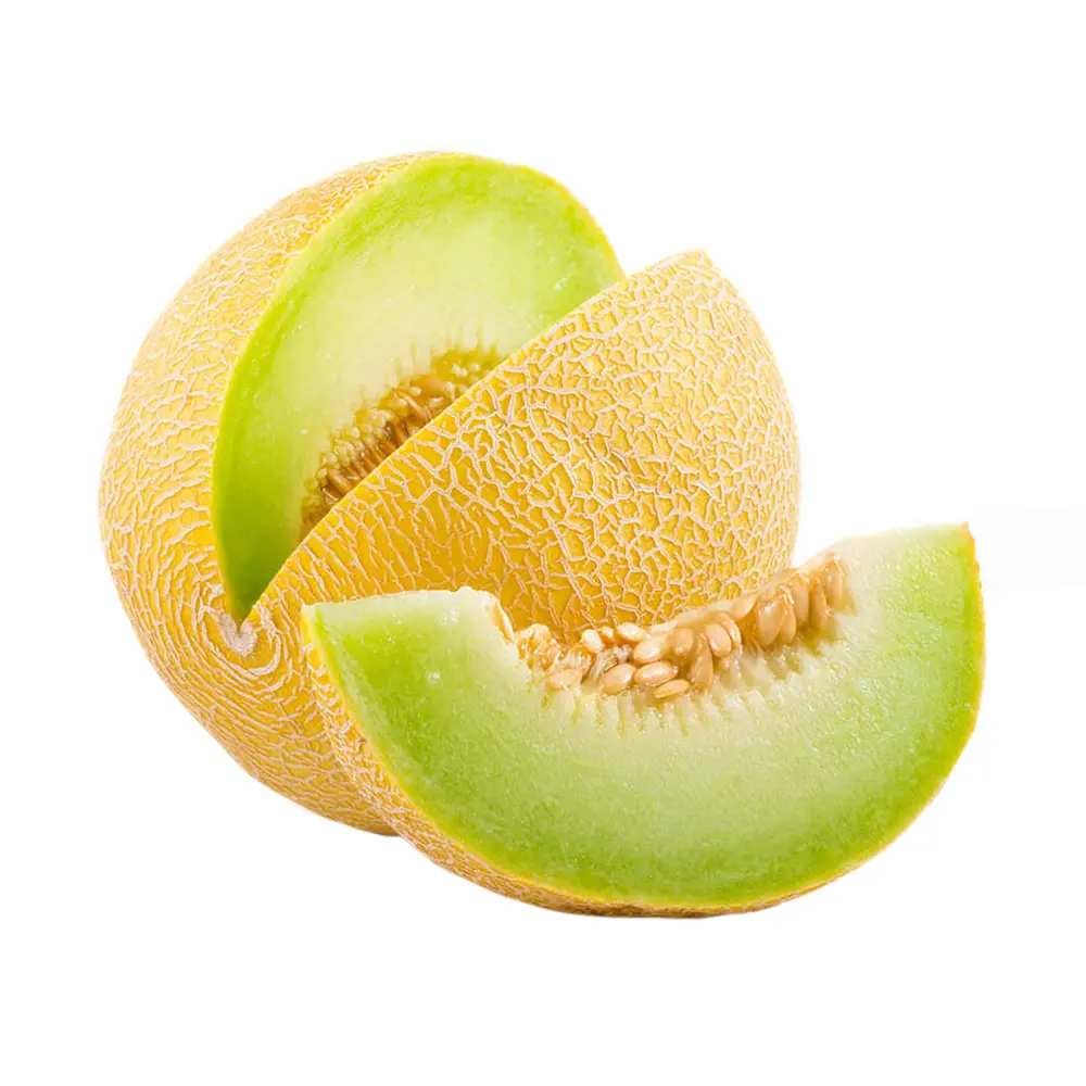 Kavun