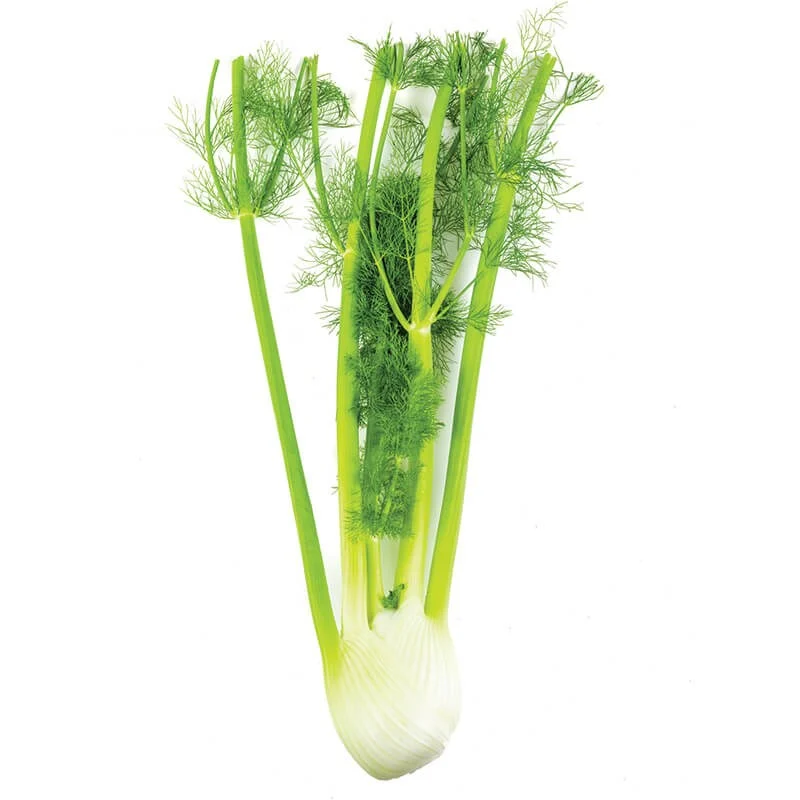 Rezene