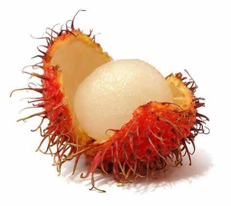 Rambutan