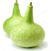 Su Kabağı