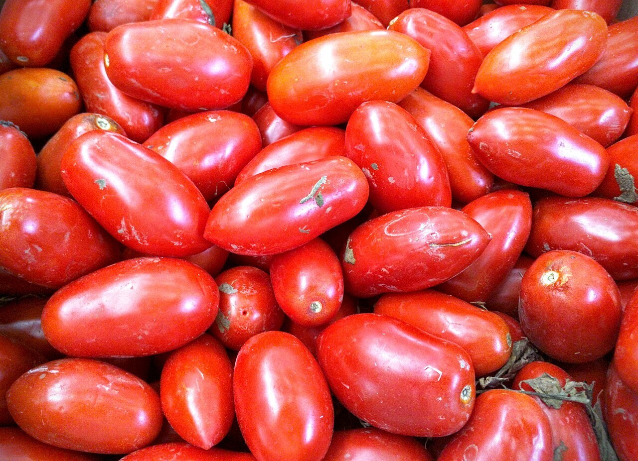 Sanayi Domatesi