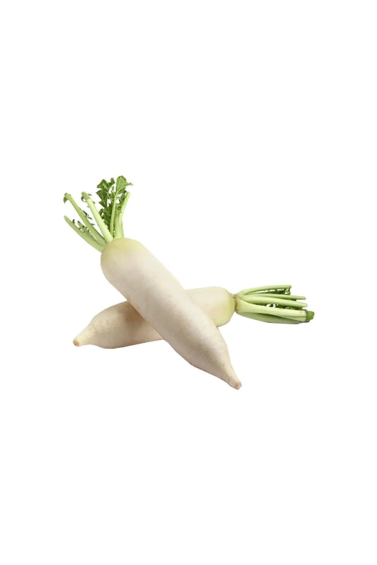 Daikon (Beyaz Japon Turpu)