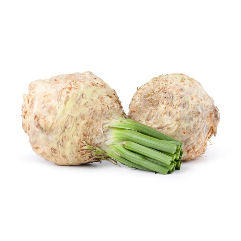 Kereviz Kök (Kök Kereviz)