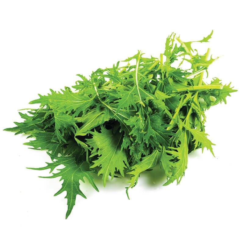 Mizuna
