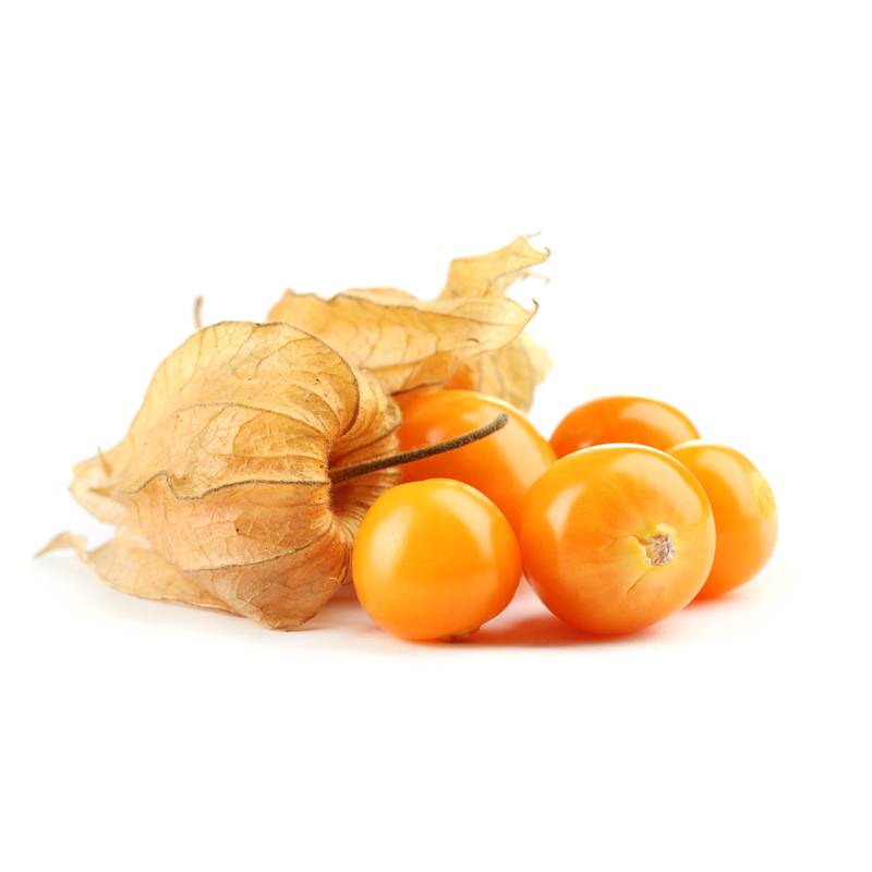 Physalis (Altın Çilek)