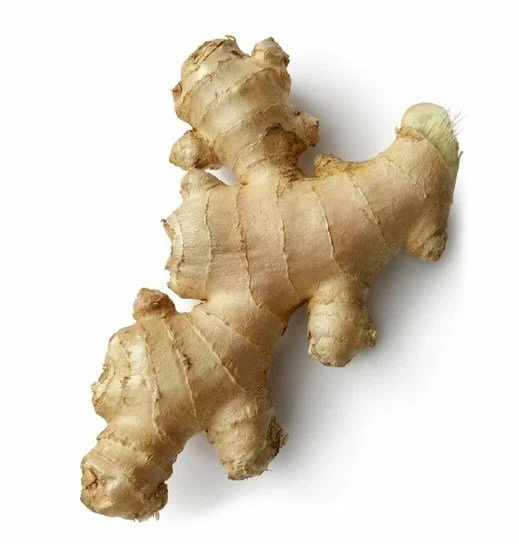 Zencefil (Taze Zencefil)