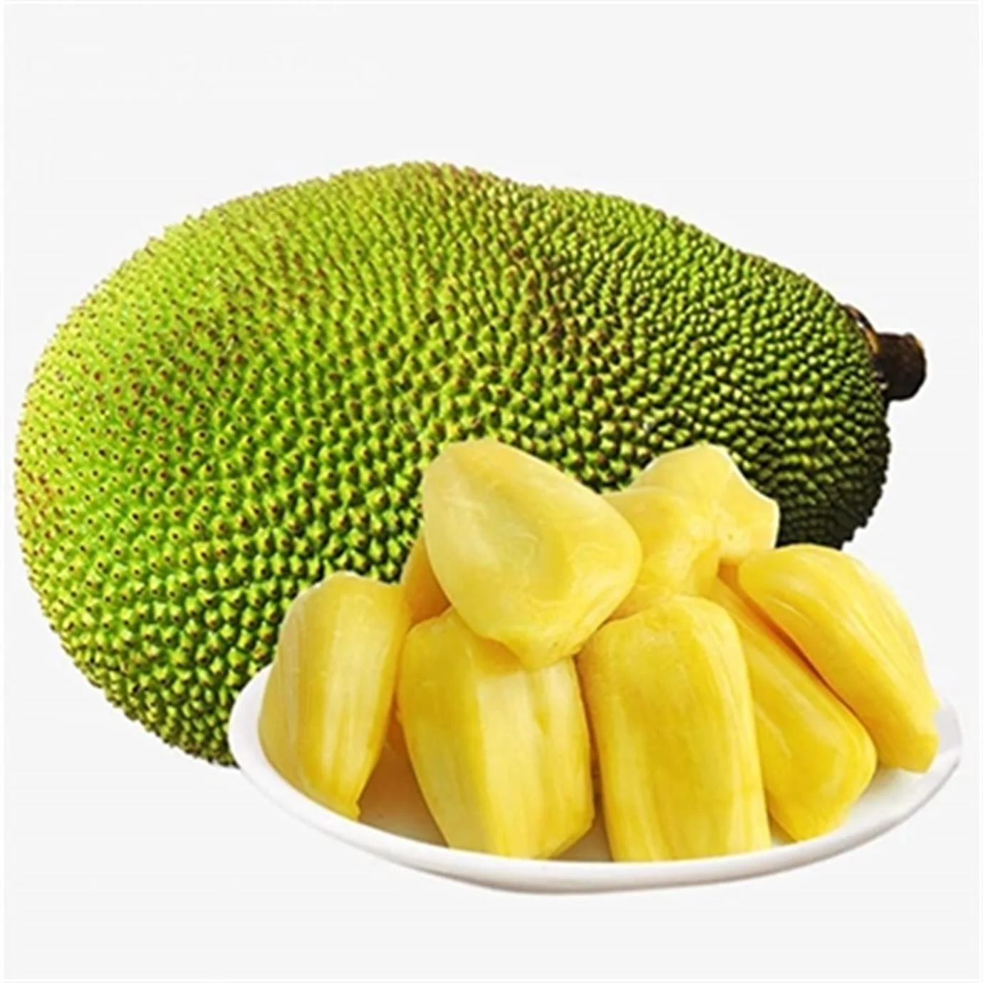 Jackfruit (Jak Meyvesi)