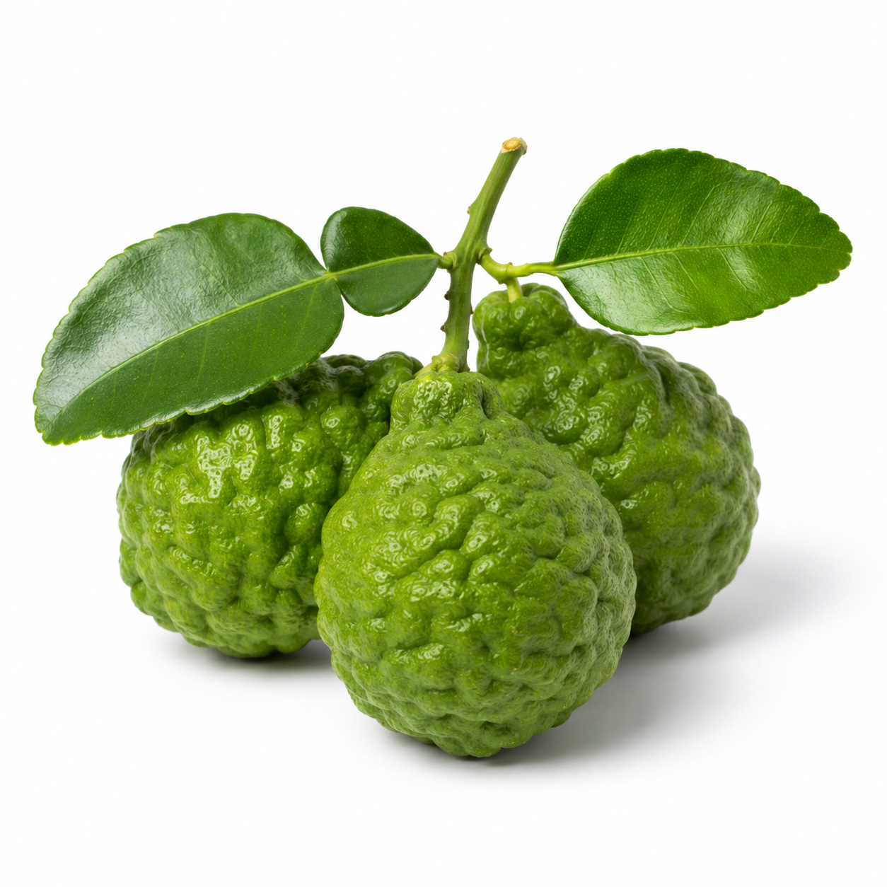 Bergamot